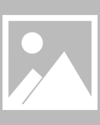  那不勒斯主帅下课，助教暂代帅位  